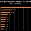 Nigeria’s Transportation and Financial Sectors Lead Fast Growing Sectors