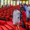 Senate Issues Ultimatum to Minister of Communications