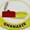 Ohanaeze demands power devolution and creation of additional state