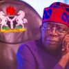 Presidency denies Tinubu as Petroleum Minister