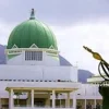 NASS moves to reintroduce 5% excise duty on telecom, betting services