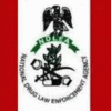 NDLEA calls for collaboration against drug trafficking