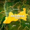 Anambra state government responds to killings